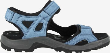 Sandales de randonnée 'Offroad' ECCO en bleu