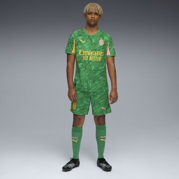 PUMA Regular Sportbroek 'AC Milan 25/26' in Groen