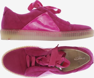 LLOYD Sneaker 39 in Pink: predná strana