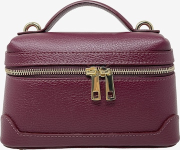 CHICCA BORSE Handtas in Rood: voorkant