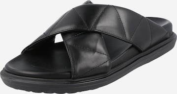 Bianco Mules 'FRANCINE' in Black: front