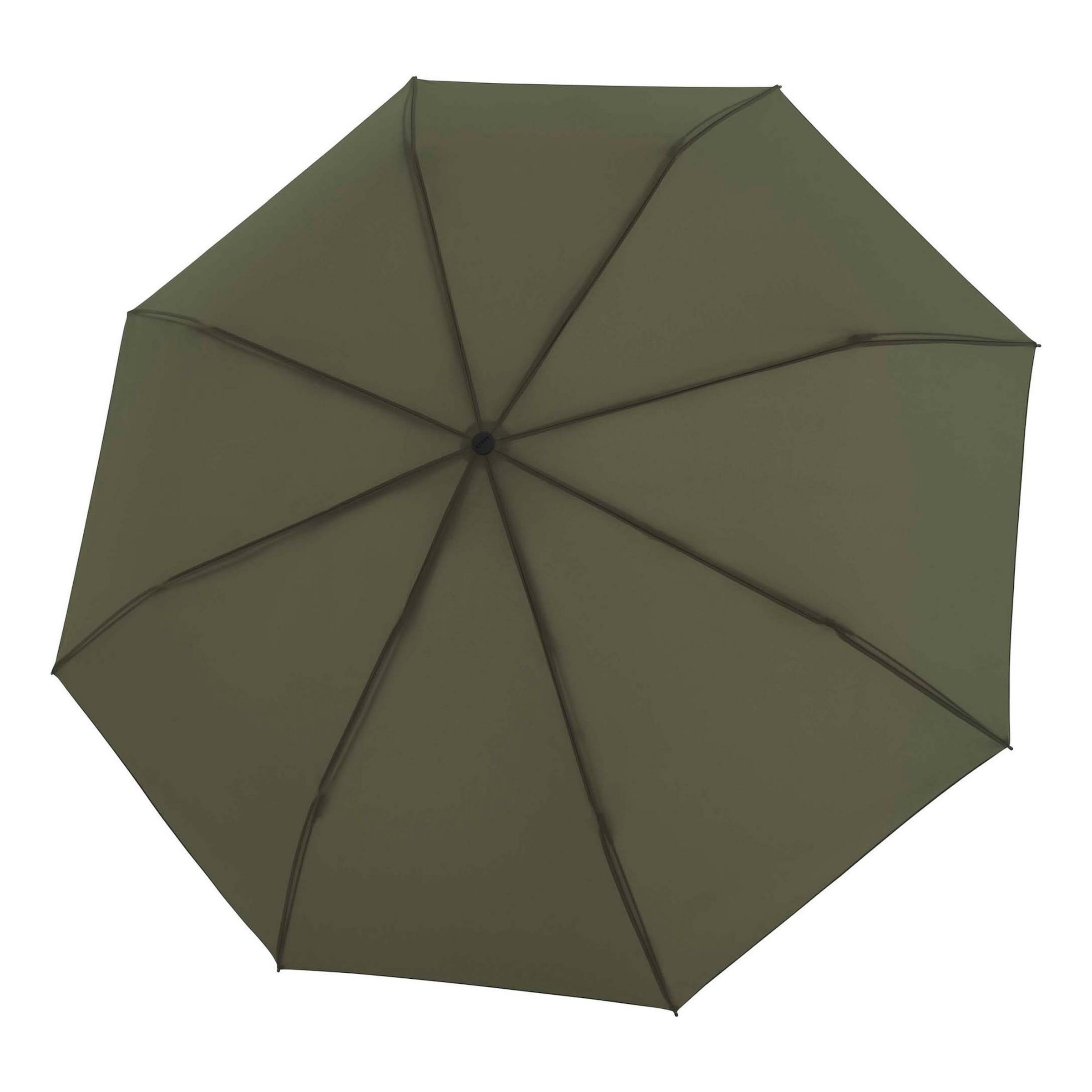 Parapluie 'Timber' KNIRPS en vert : devant