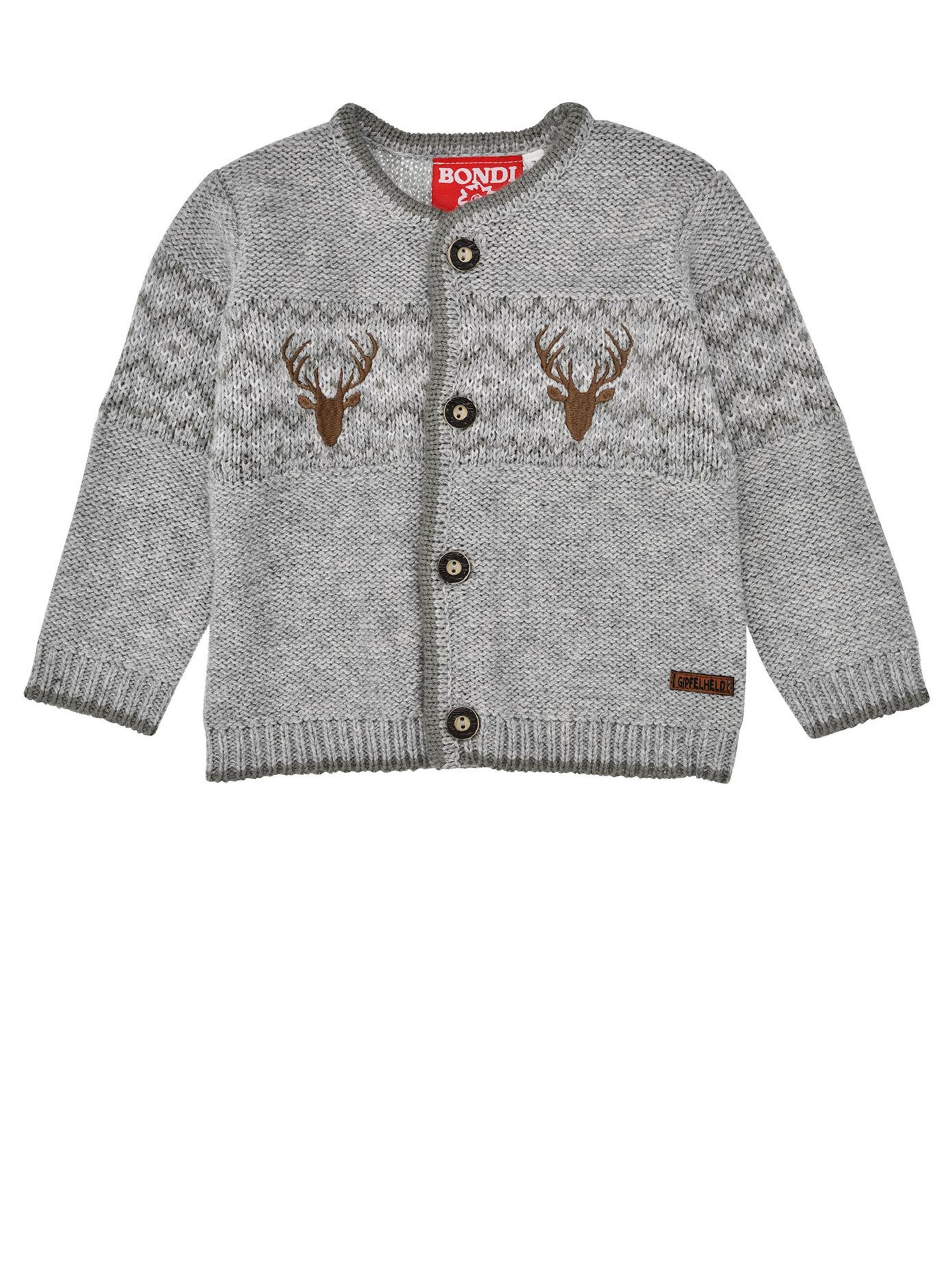 BONDI Strickjacke‌‌‌‌‌‌‌‌‌‌ in Grau: Vorderseite