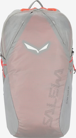 SALEWA Sports Backpack 'Ultra Train' in Grey: front