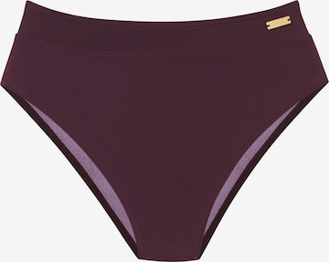 LASCANABikini donji dio - ljubičasta boja: prednji dio