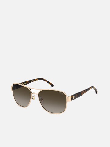 Carrera Sunglasses in Brown