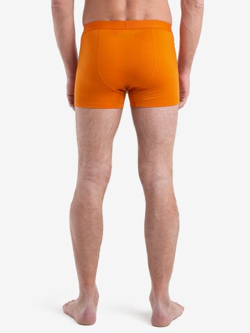 ICEBREAKER Boxershorts 'Anatomica' in Orange