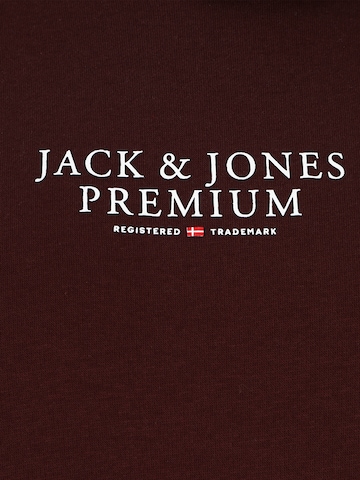 Jack & Jones Plus Sweatshirt 'BLU ARCHIE' in Brown