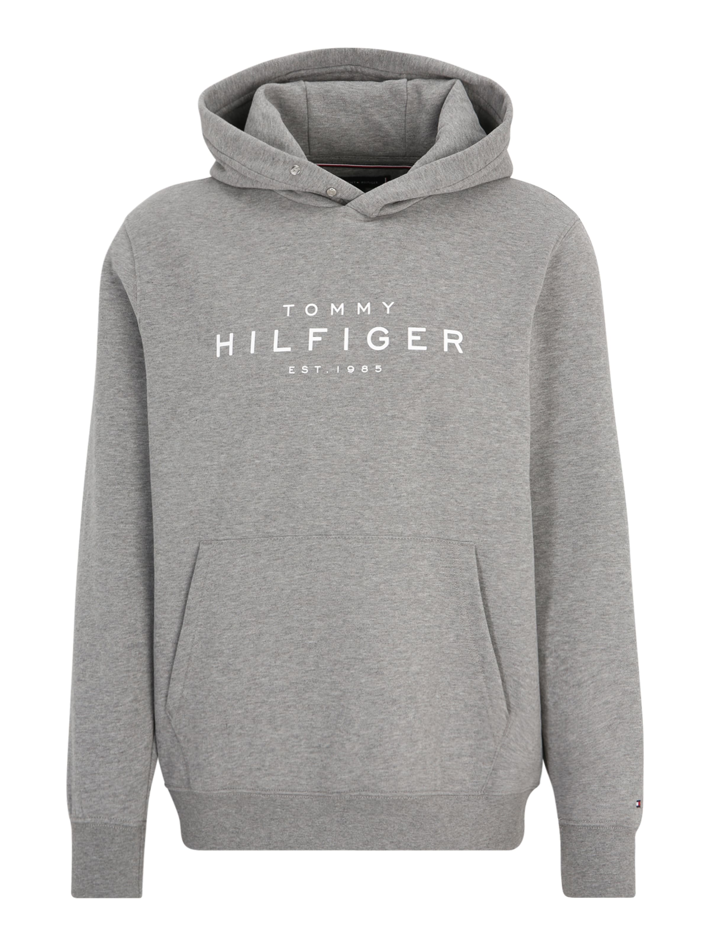 TOMMY HILFIGER Sweatshirt in Grey: front