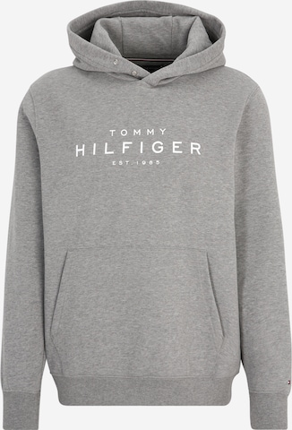 Felpa di TOMMY HILFIGER in grigio: frontale