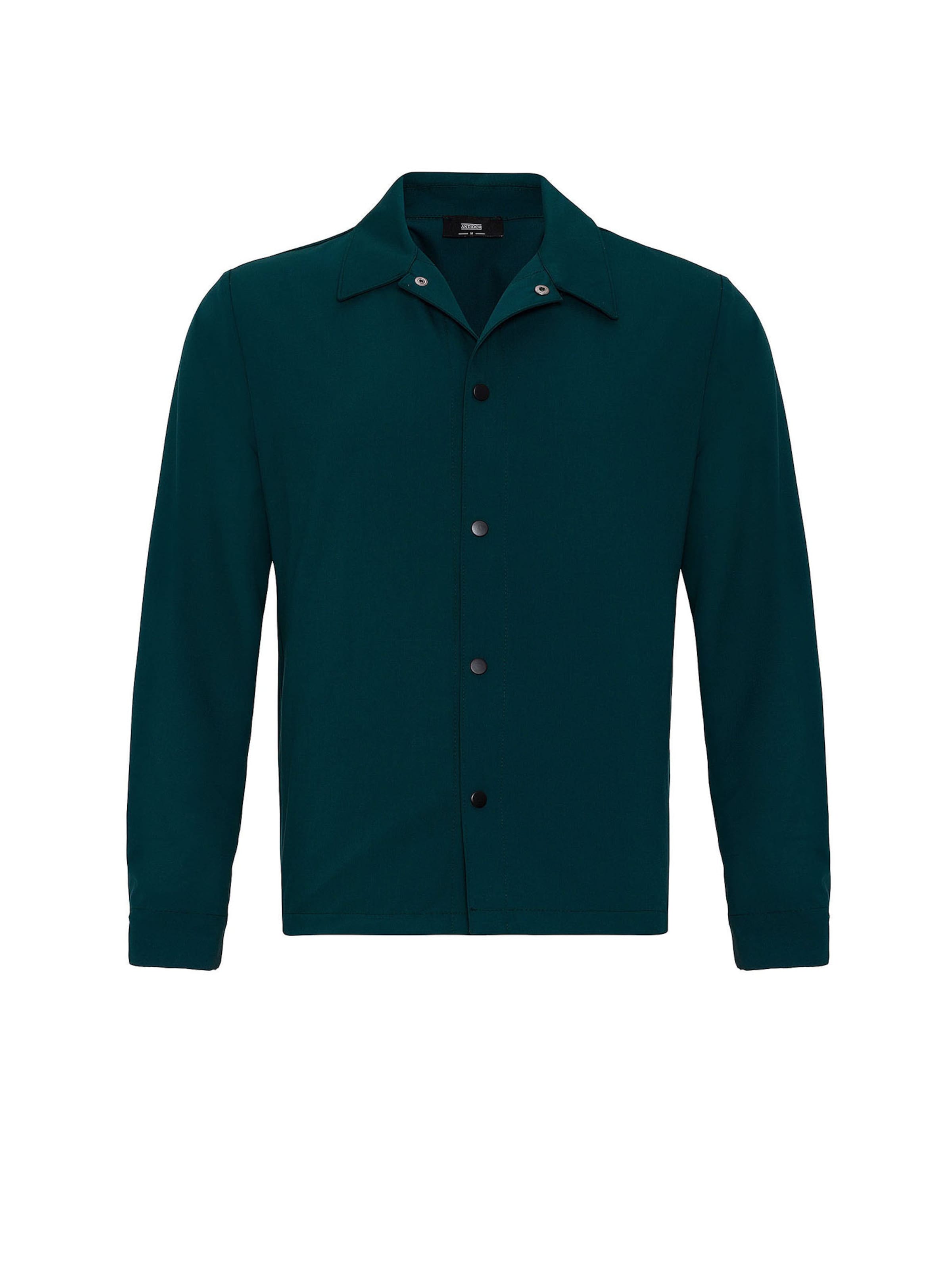 Antioch Between-seasons coat in Blue: front