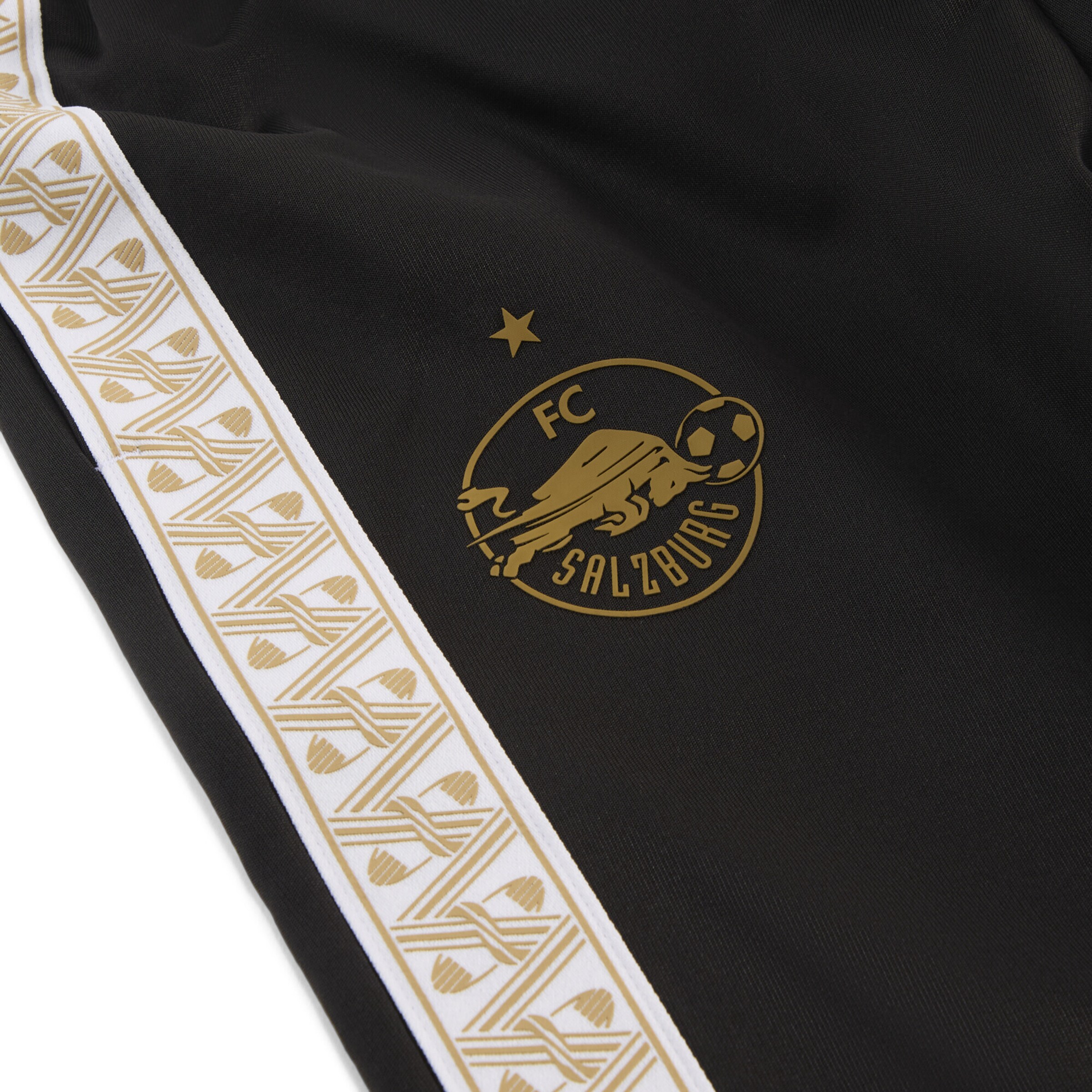 PUMA Tapered Sporthose 'FC Red Bull Salzburg KING Anthem' in Schwarz