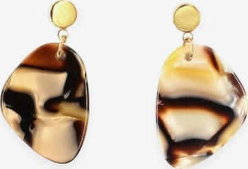 Fräulein Wunder Earrings 'Acetat Amy' in Brown: front