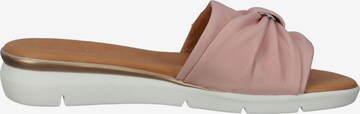 SALAMANDER Mules in Pink