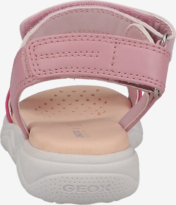 GEOX Sandalen 'Deaphne' in Roze