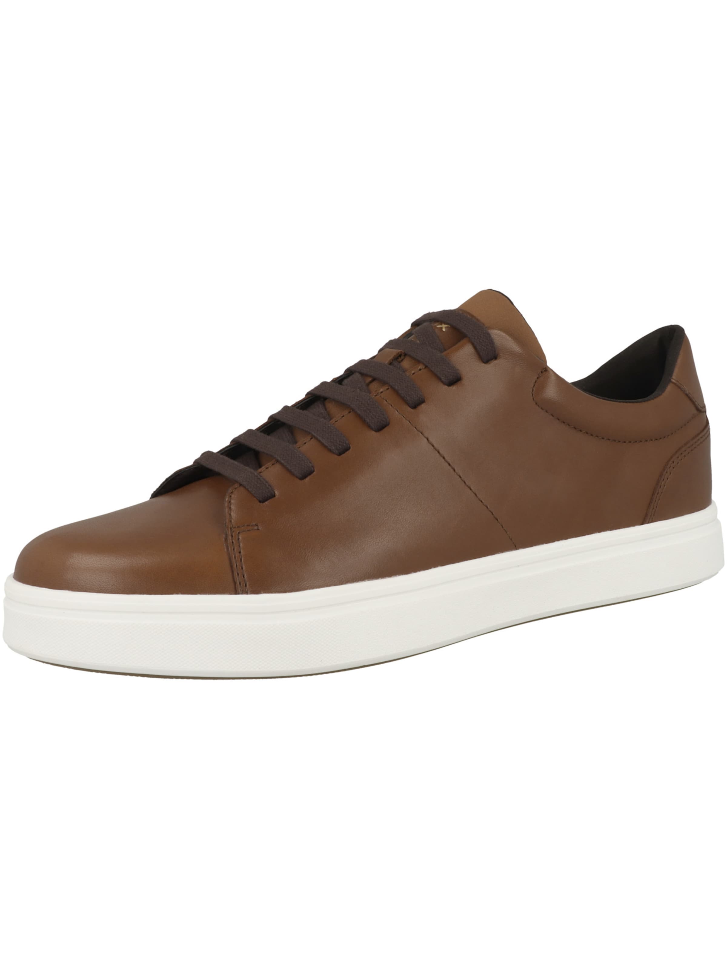 GEOX Platform trainers 'Baltmoore' in Brown: front
