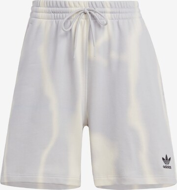 Pantaloni di ADIDAS ORIGINALS in grigio: frontale