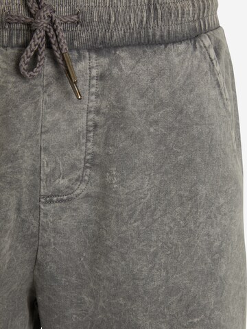 Denim Project Regular Shorts in Grau