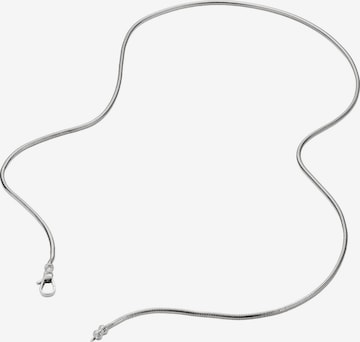 Thomas Sabo Kette in Silber: Vorderseite
