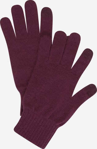 LEVI'S ® Full Finger Gloves 'BEN' in Purple: front