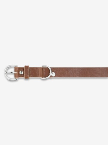 Picard Pet accessories 'Strolch' in Brown