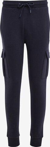 Threadbare Tapered Cargobroek 'Stefan' in Blauw: voorkant