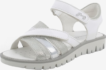 PRIMIGI Sandals & Slippers 'Pax' in White: front