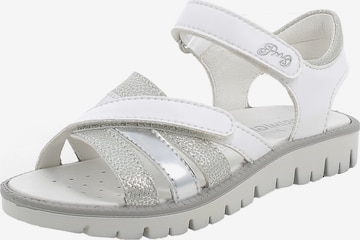 PRIMIGI Sandals 'Pax' in White: front