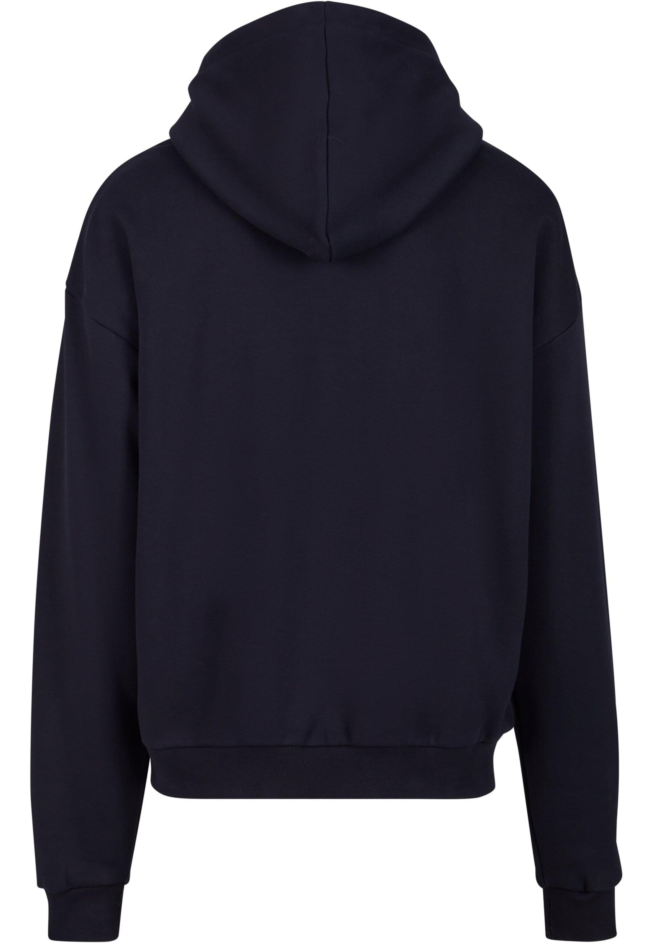 Sweat-shirt 'Conceptual' Lost Youth en noir