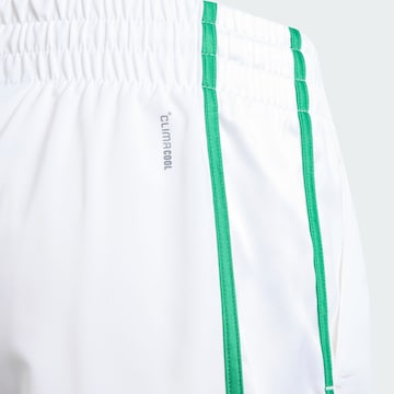 ADIDAS PERFORMANCE Regular Sports trousers in White