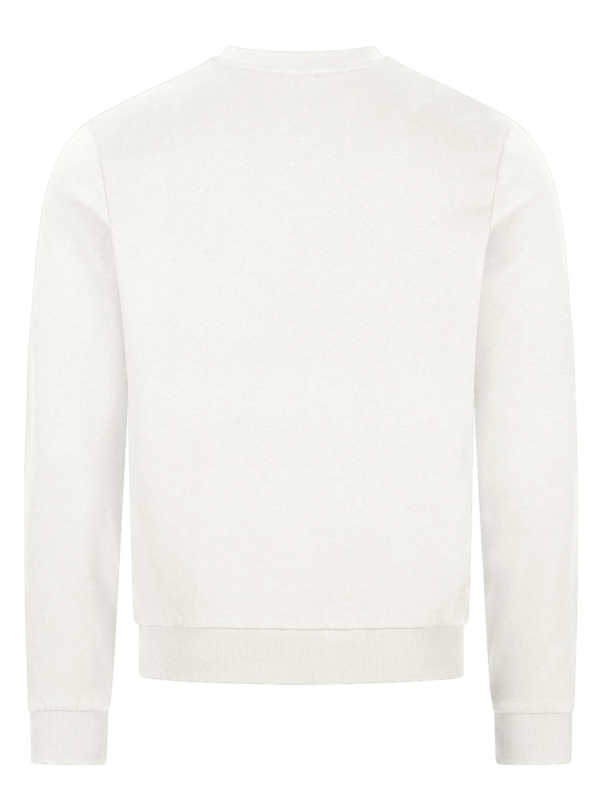 U.S. POLO ASSN. Sweatshirt in White