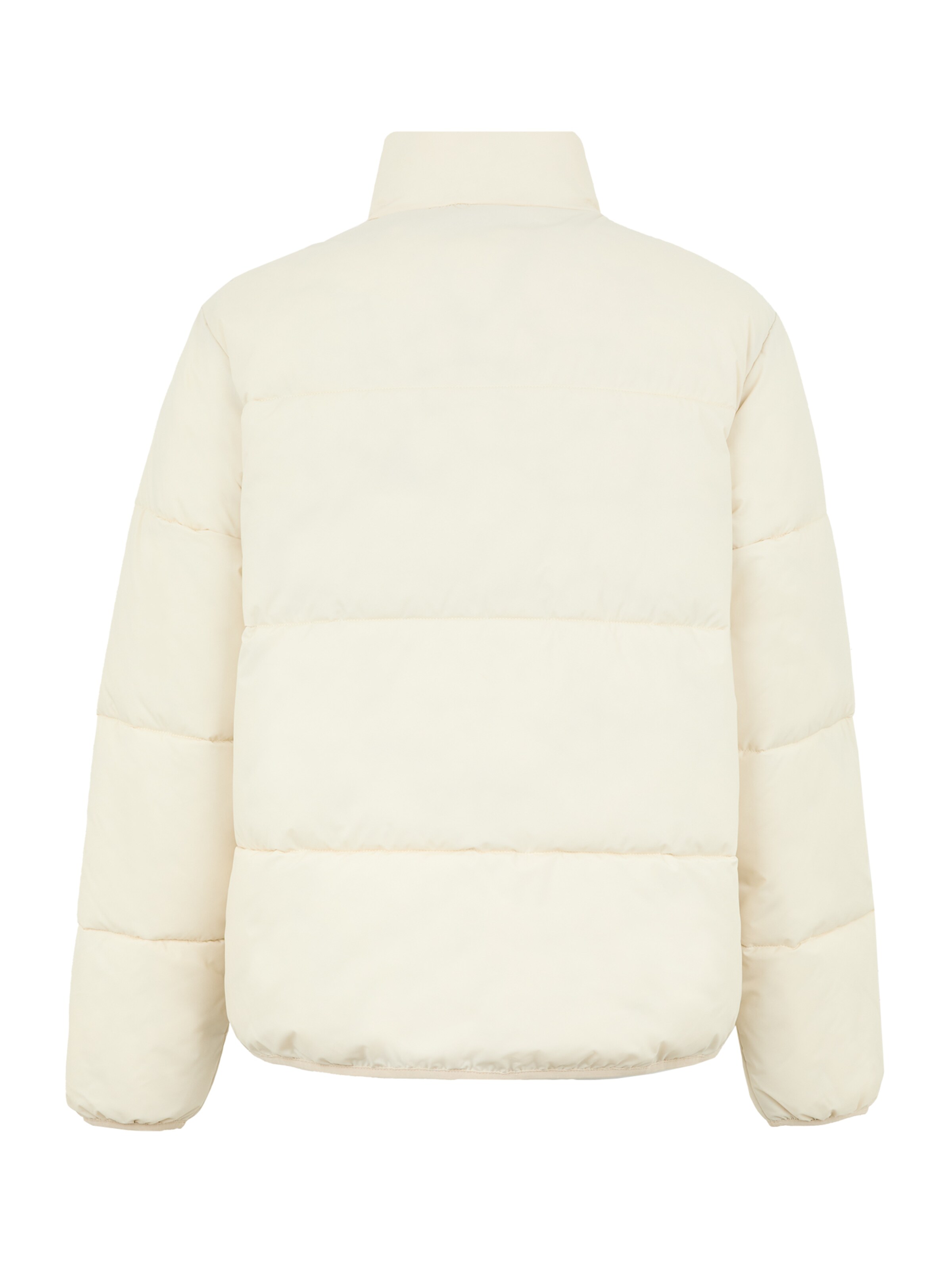 DICKIES Зимняя куртка 'SUMMERDALE' в Бежевый