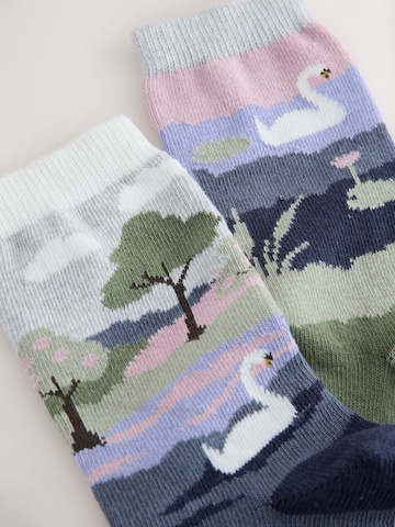 Next Sokken in Blauw