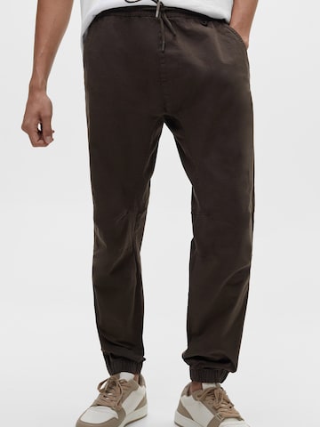 Pull&Bear Tapered Pants in Brown: front