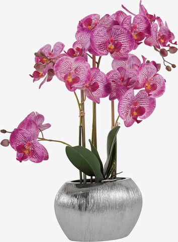 HOME AFFAIRE Artificial plants in Pink