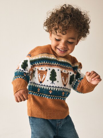 Next Trui in Bruin