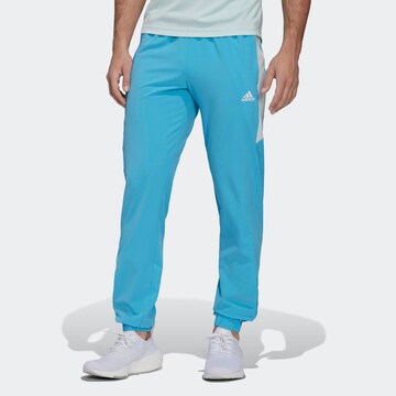 ADIDAS SPORTSWEAR Regular Sports trousers in Blue: front