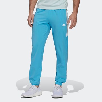 ADIDAS SPORTSWEAR Regular Workout Pants in Blue: front