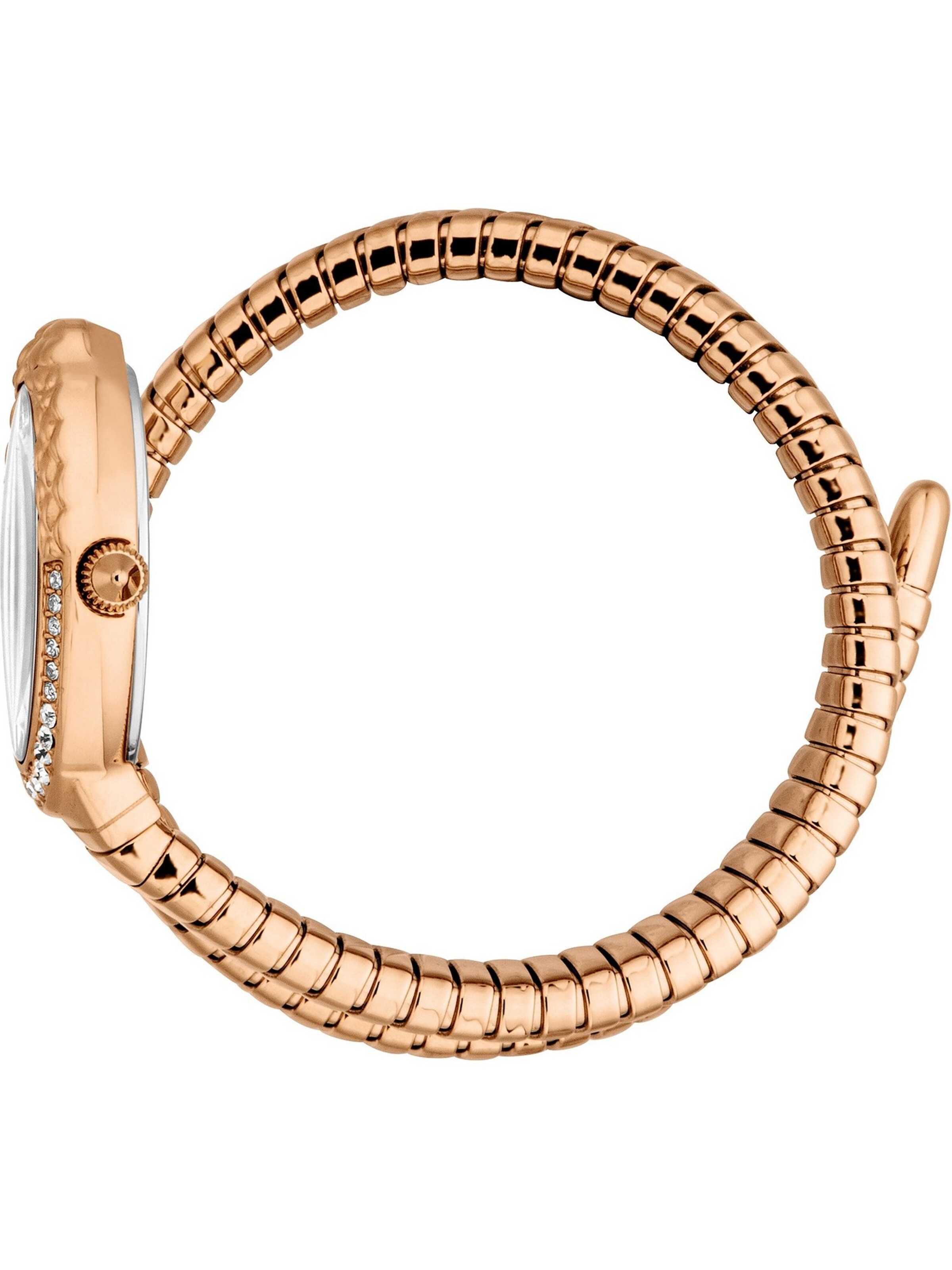 Just Cavalli Uhr in Bronze