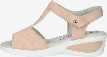 Arcopedico Sandals in Pink