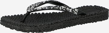 ILSE JACOBSEN T-Bar Sandals in Black: front