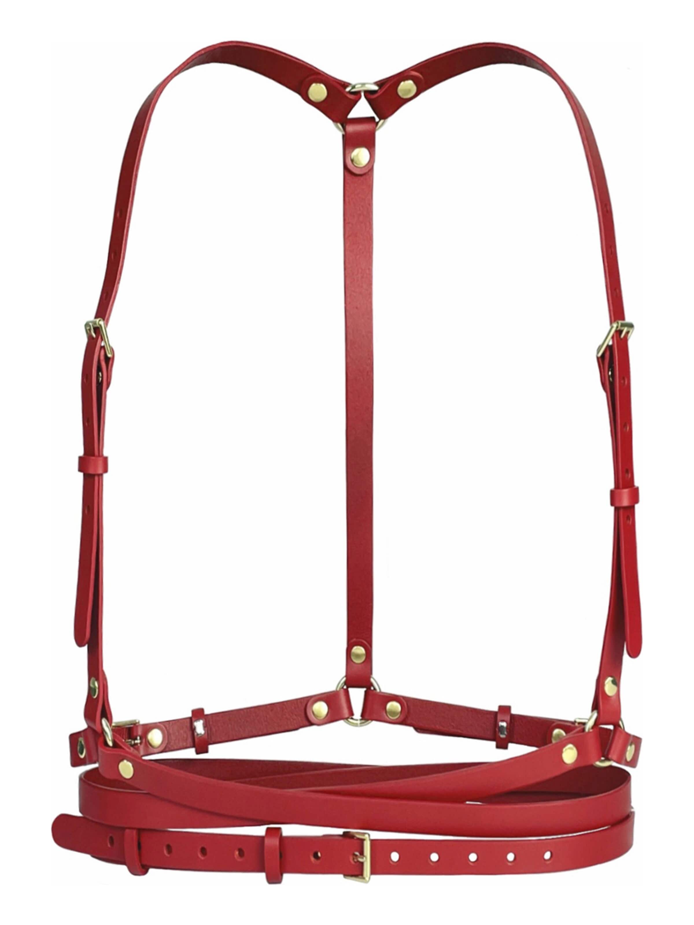 Ceinture 'Slim Double Belt Harness' Haute Cuir en rouge : devant