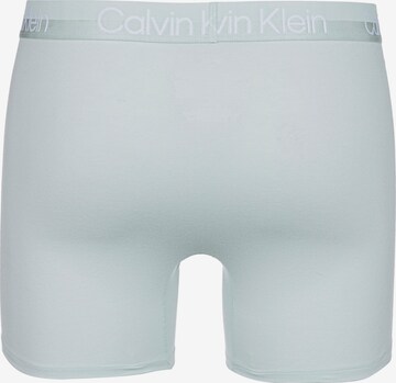 Calvin Klein Underwear Boxershorts in Blau