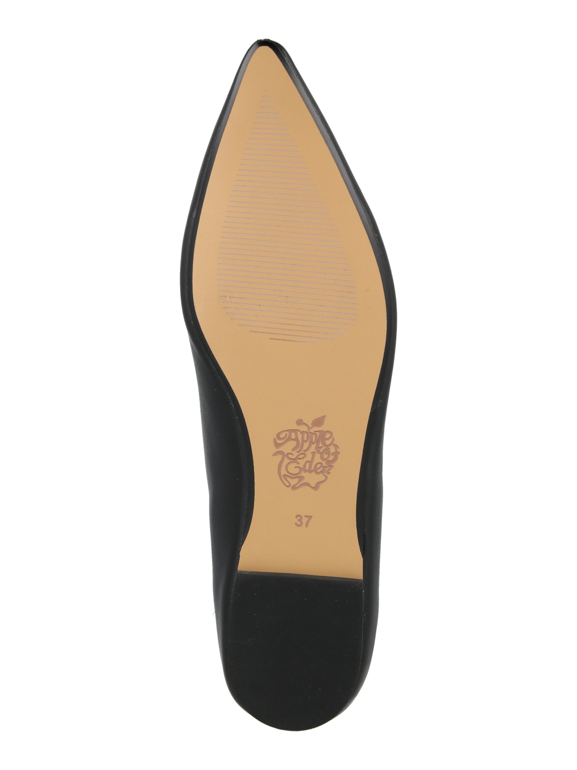 Apple of Eden - Sabrina 'DAYLIN 1' em preto