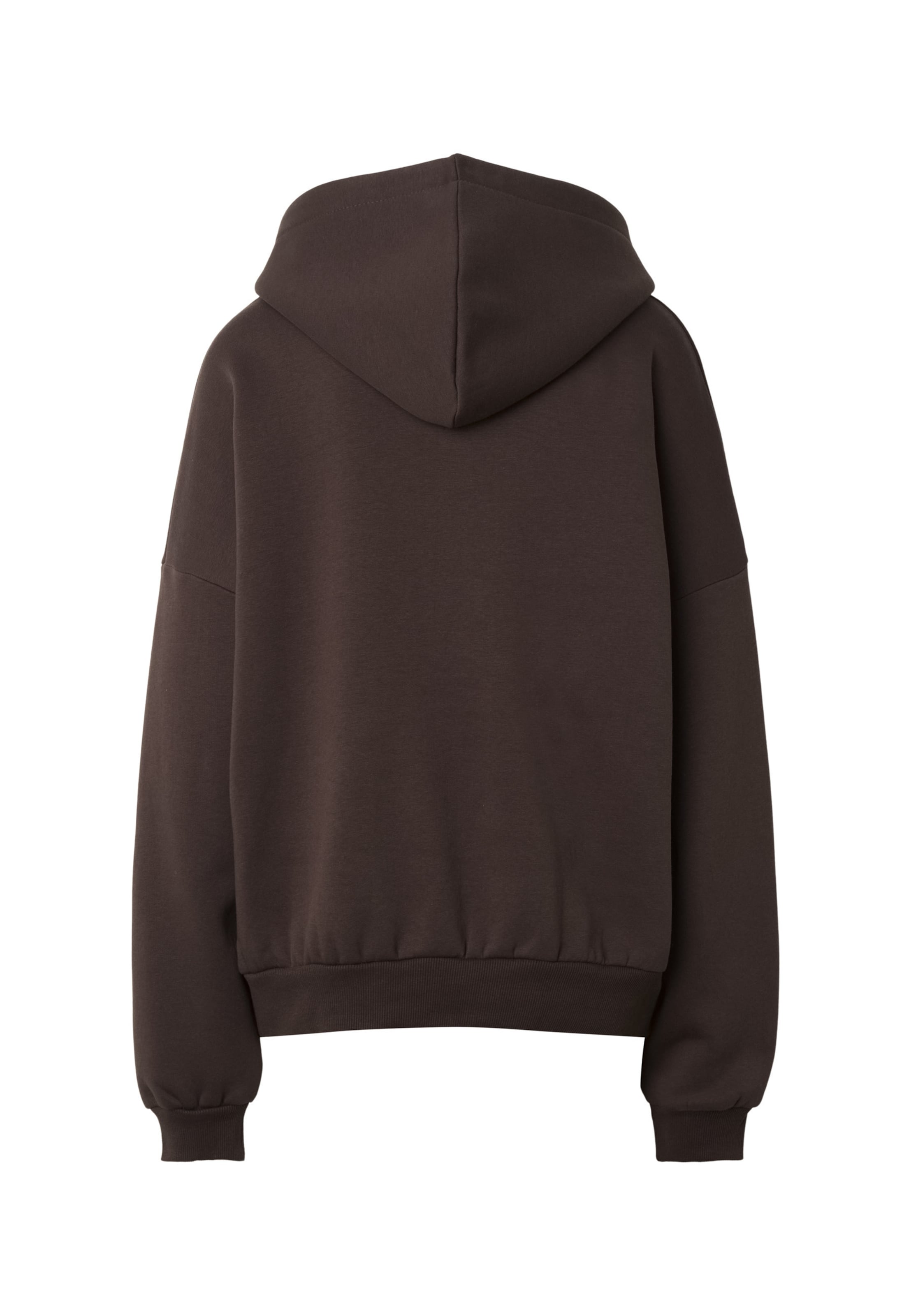 Felicious Sweatshirt in Braun