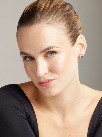 LUXBYLUX Earrings in Silver: front