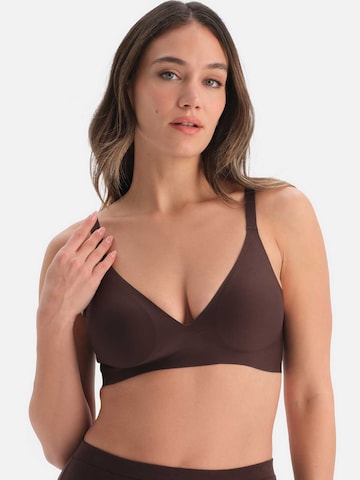Triangle Soutien-gorge Dagi en marron : devant