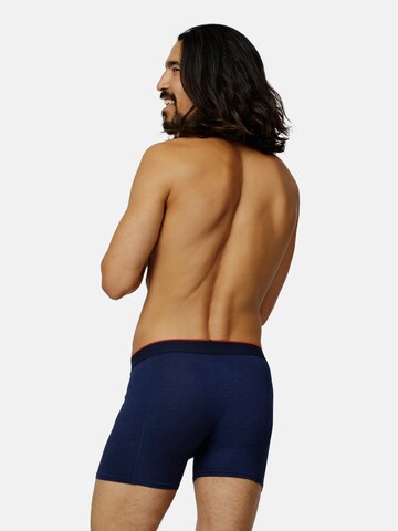 DANISH ENDURANCE Boxershorts 'Bamboo' in Blauw