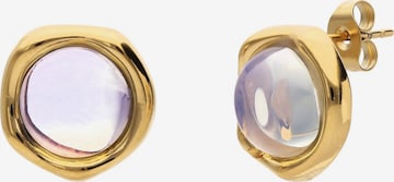 Lucardi Oorbellen in Goud: voorkant