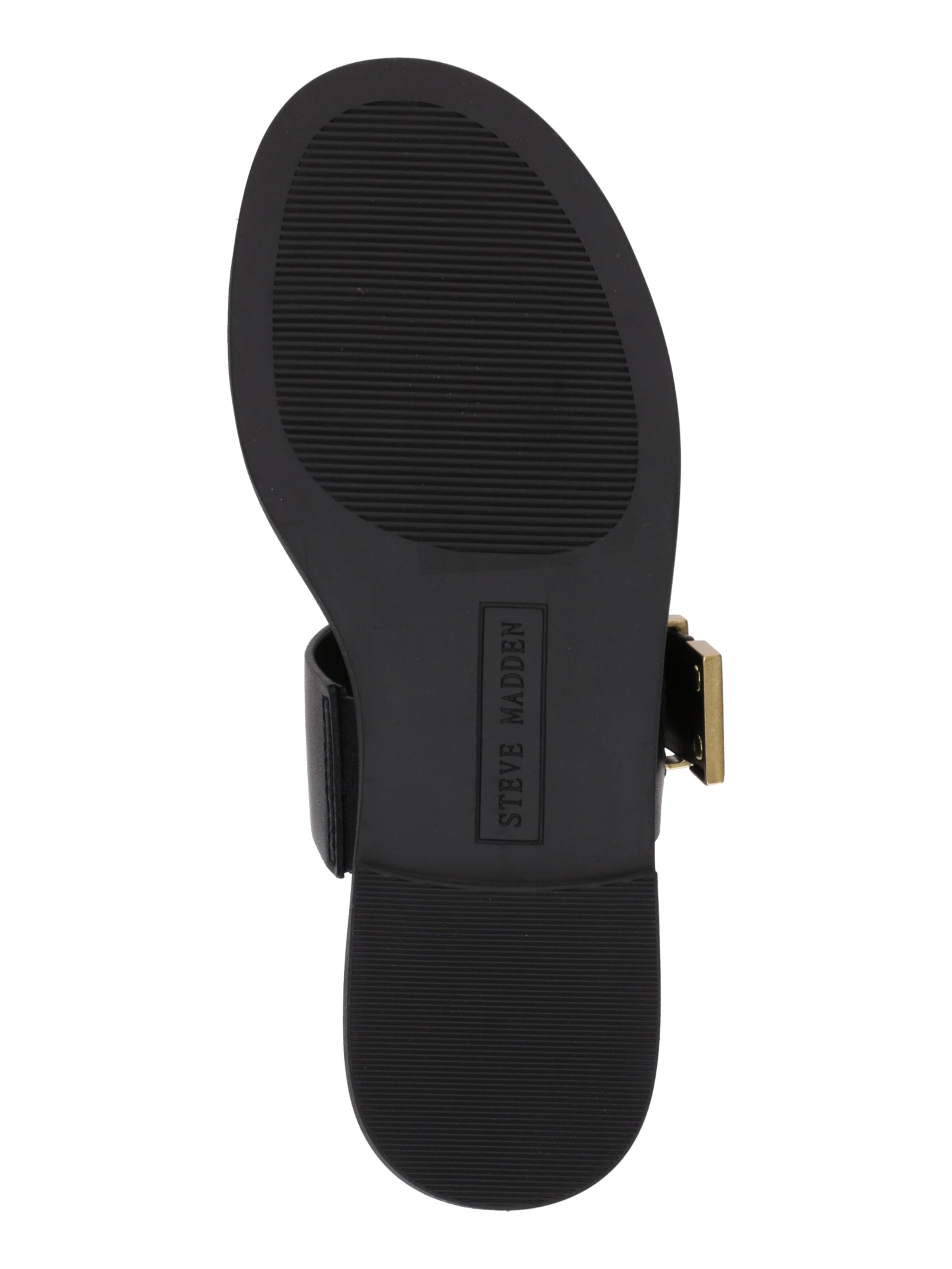 STEVE MADDEN Pantolette in Schwarz